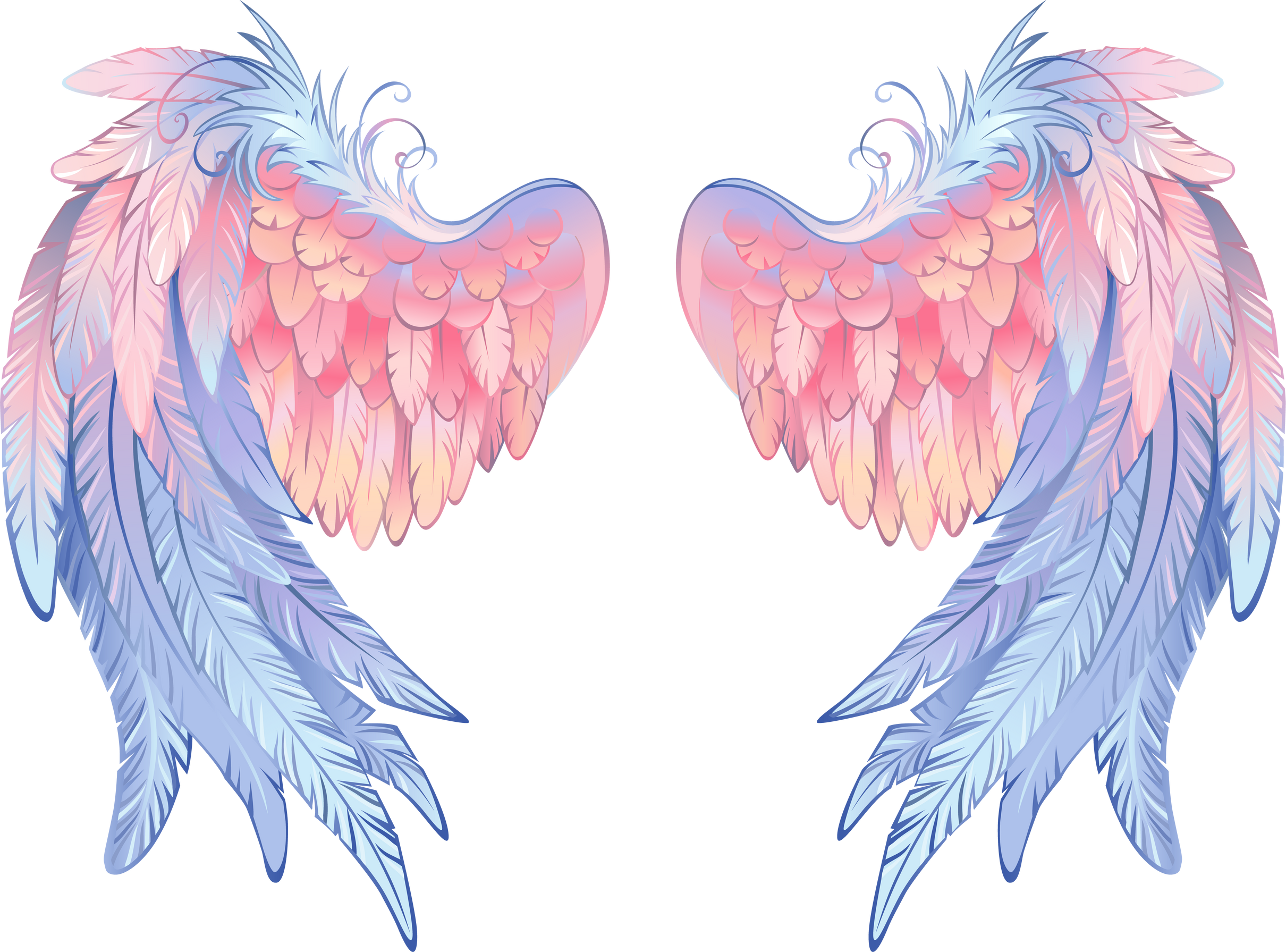 Delicate Angel Wings